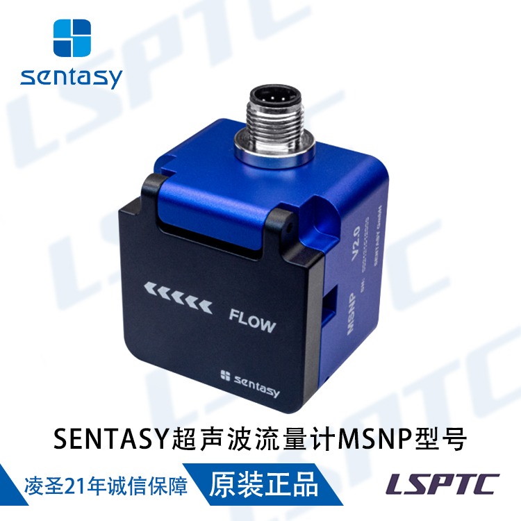 SENTASY超声波流量计MSNP型号