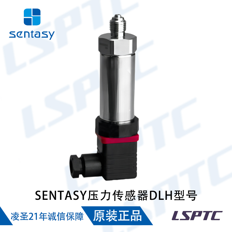 SENTASY压力传感器DLH型号