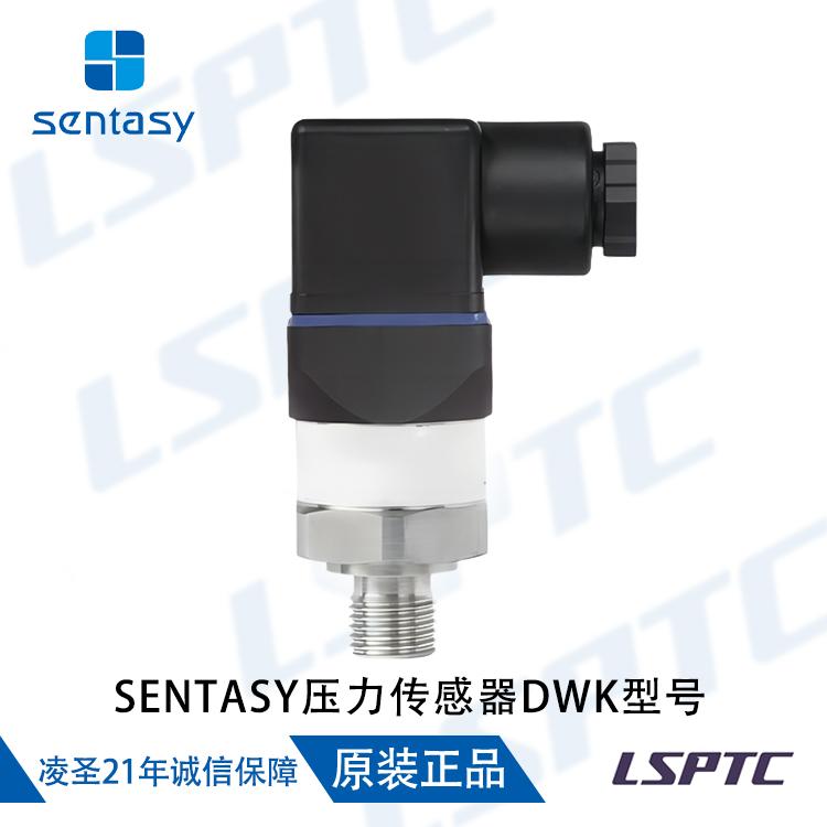 SENTASY压力传感器DWK型号